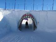 Tip for children  - Kids Cross The Beach