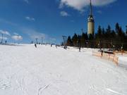 Beginner slope Nybegynnerbakken