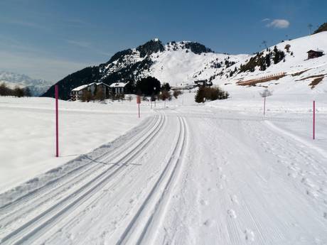 Cross-country skiing Valais (Wallis) – Cross-country skiing Aletsch Arena – Riederalp/Bettmeralp/Fiesch Eggishorn