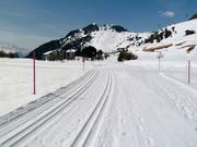 Cross-country skiing in Riederalp on the Riederalp golf course