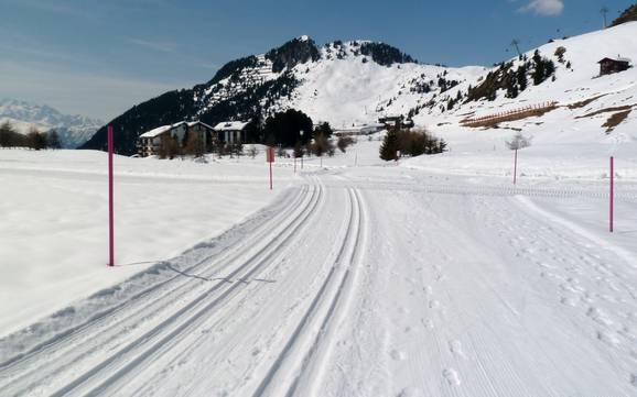 Cross-country skiing Ticino Alps – Cross-country skiing Aletsch Arena – Riederalp/Bettmeralp/Fiesch Eggishorn