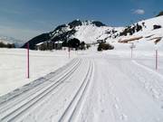 Cross-country skiing in Riederalp on the Riederalp Golf Course