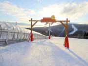 Tip for children  - Reischa Junior Park