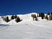 Schneiderkogel black slope