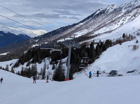 Morel - © Michael Medek - Photo: Michael Medek