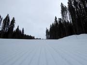 Very well-groomed slope in the Lake Louise ski area