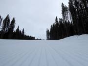 Very well prepared slope in the ski resort of Lake Louise