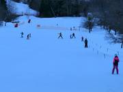 Practice slope at the Innerbach rope lift at the valley station