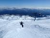 Ski resorts for advanced skiers and freeriding New Zealand – Advanced skiers, freeriders Tūroa – Mt. Ruapehu