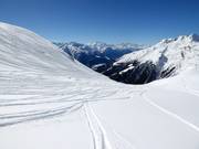 Freeride slopes Brytnest-Grieschumma