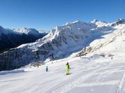 Alblitt Dias descent