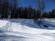 End of the intermediate slope Rennstrecke