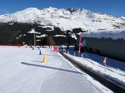 Plaghera - People mover/Moving Carpet