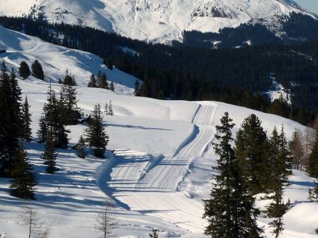 Cross-country skiing Tux Alps – Cross-country skiing Kaltenbach – Hochzillertal/Hochfügen (SKi-optimal)
