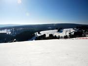 Plenty of space on the Postwiese