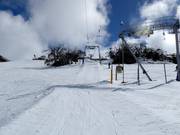 Mitchell T-Bar - T-bar