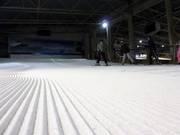 Freshly groomed beginner area