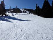 Practice slope in the valley