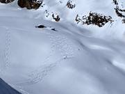 Untouched powder slopes
