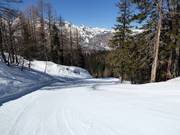 Easy slope Brunarica-Zadnji Vogel No. 12