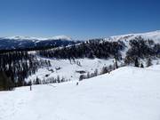 Sonnenhang intermediate