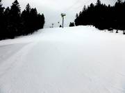 Slalom slope at the gondola lift