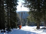 Neklid-VL 500 - T-bar