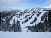 View of the Silver King slopes