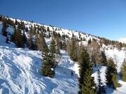 Freeride/powder snow areas at Monte Agaro