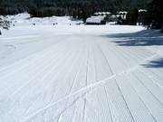 Groomed slope in the Castle Mountain ski area