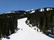 Typical forest aisle slopes in Breckenridge