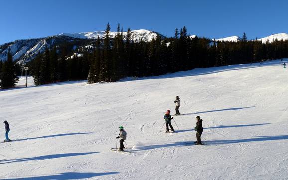 Ski resorts for beginners in the Jasper National Park – Beginners Marmot Basin – Jasper