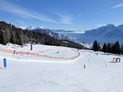 Zettersfeld Fun Area