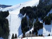 View of slope no. 62 Bärenbadkogel 1