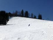 Franzosenberg descent