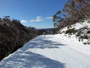 Slope Mother Johnson's Return