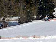 Kinderlift Haldenköpfle - Rope tow/baby lift with low rope tow