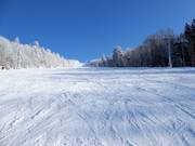 Intermediate slope at the Große Almberg chairlift