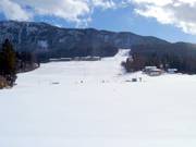 View of the slopes in Thiersee-Mitterland