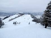 View from Sunnyside to Panorama House