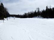 Practice slope with its own drag lift at the valley station