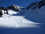 Easy slope at the Balbach chairlift