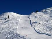 Untermuri downhill run