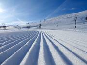 Very well-groomed slope in the Tänndalen ski area