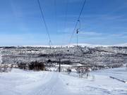 Hamraliften - T-bar