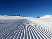 Very good slope grooming