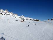 Easy slope Fuchiade (Passo San Pellegrino)