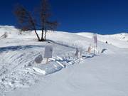 Animal Educational Trail