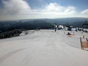 Carving pleasure in the morning