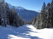 Intermediate slope Langried